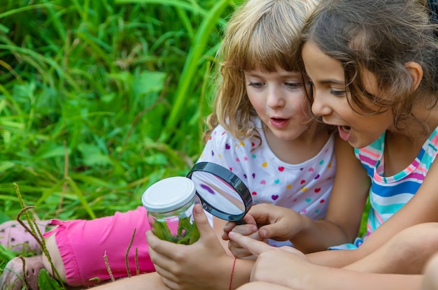 Los niños miran una lupa sobre la naturaleza. Enfoque selectivo. Naturaleza.