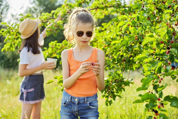 Niños niñas comiendo deliciosas moras saludables del árbol, cosecha de bayas maduras en el jardín de verano, temporada de bayas y frutas naturales orgánicas vitamínicas