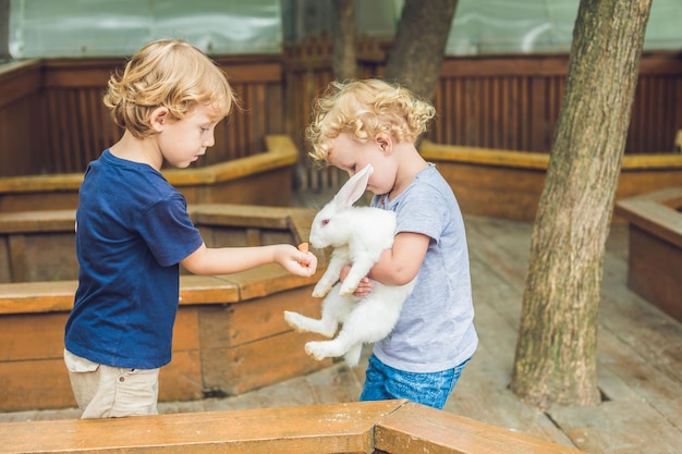 Foto los niños y niñas son alimentados con conejos en el zoológico de mascotas.