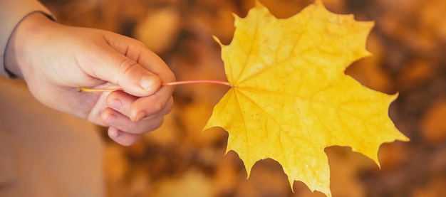 Niños en el parque con hojas de otoño Enfoque selectivo