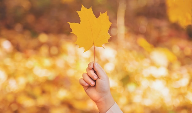 Niños en el parque con hojas de otoño. Enfoque selectivo.