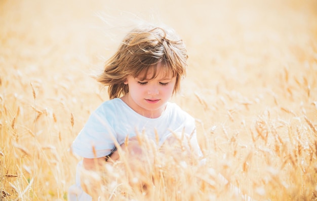 Los niños pequeños y felices granjeros en el campo de trigo es una planta de cereales cuyo grano se muele para hacer harina