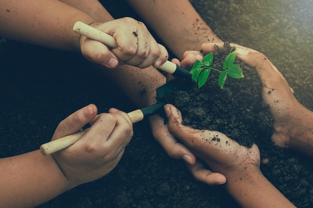 Niños pequeños mano sosteniendo un retoño verde día de la tierra En manos de árboles plantando retoños Reducir