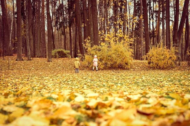 Los niños pequeños, niñas y niños, caminan en el parque de otoño y estudian la naturaleza del medio ambiente. explorando el mundo. vista trasera y trasera