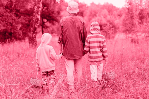 Los niños pequeños recolectores de hongos van al bosque a mano con la familia de la abuela recolecta hongos silvestres y se alimentan en la vista trasera de la naturaleza y tonificados en el color de tendencia viva magenta del año 2023