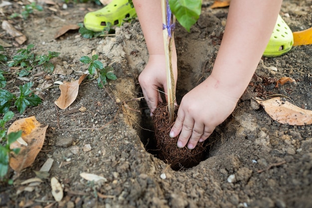 Niños plantando árboles con fondo de naturaleza.