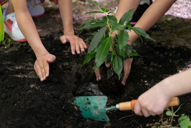 Foto niños plantando juntos en el bosque.