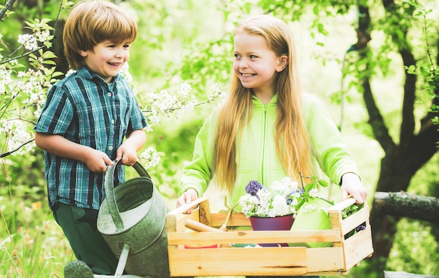 Niños plantando plántulas en maceta en el jardín doméstico en el día de verano. Herramientas de jardín, regadera al aire libre. Actividad de jardinería con niños pequeños y familia.