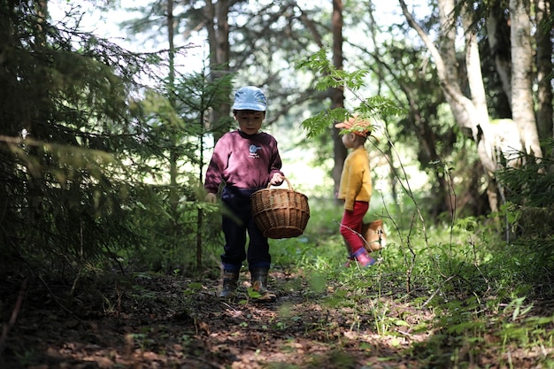 Los niños se reunieron en una caminata en el bosque más cercano en busca de hongos.
