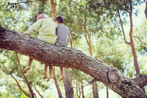 Niños sentados juntos en el árbol