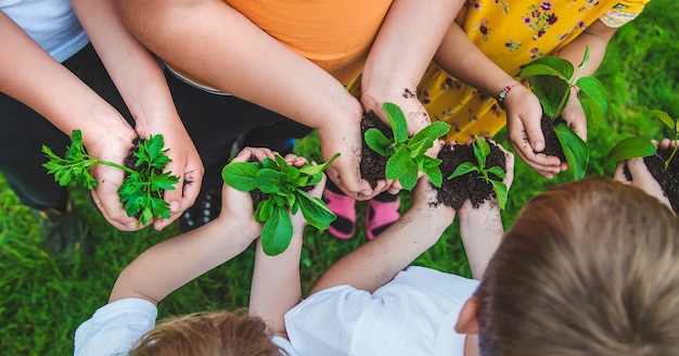 Los niños sostienen plantas en sus manos para plantar.