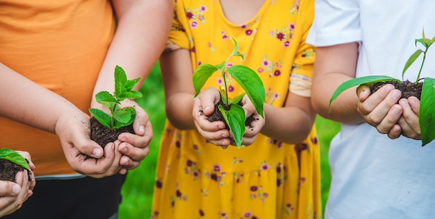 Los niños sostienen plantas en sus manos para plantar.