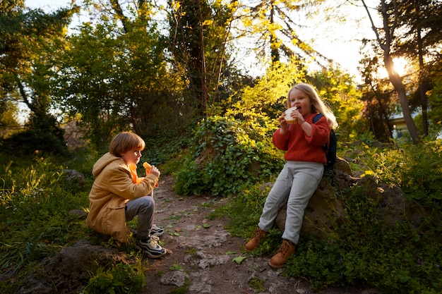Foto niños de tiro completo explorando la naturaleza juntos