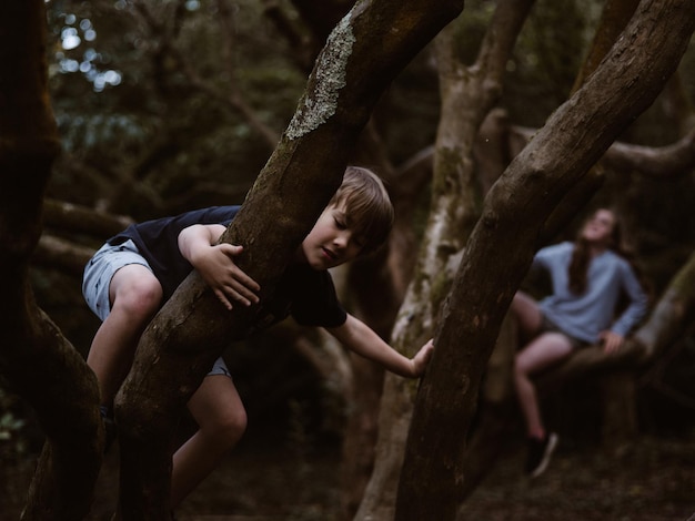 Niños trepando a los árboles en el bosque