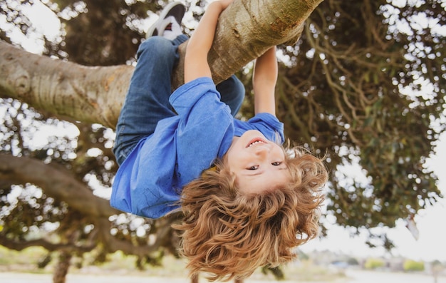 Niños trepando árboles colgados boca abajo en un árbol en un parque protección infantil