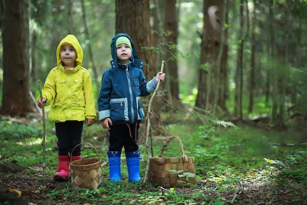 Los niños van al bosque por setas.