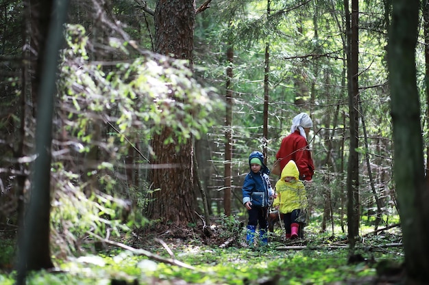 Los niños van al bosque por setas.