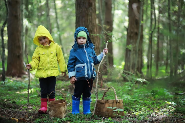 Los niños van al bosque por setas.