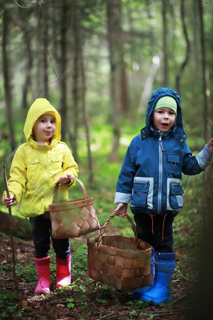 Los niños van al bosque por setas.