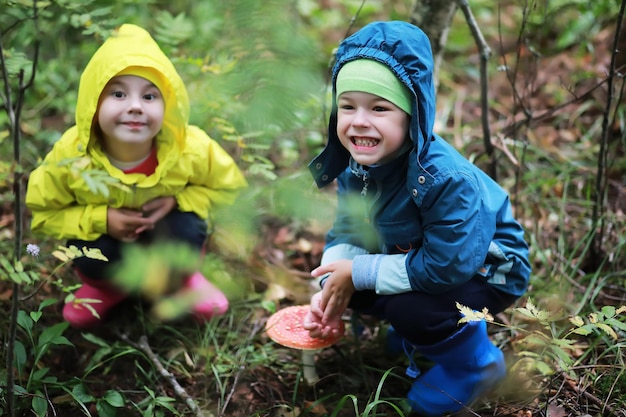 Los niños van al bosque por setas.