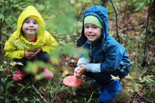 Los niños van al bosque por setas.