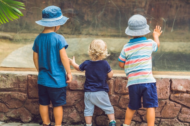 Niños viendo reptiles en el terrario.