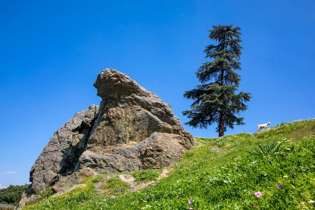 Niobe Weeping Rock (Aglayan Kaya), una formación rocosa natural, en Manisa, Turquía. Según la mitología griega, Niobe, afligida por el dolor, se convirtió en piedra.