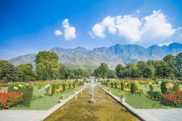 Nishat Bagh é um jardim de Mughal com terraço construído em Dal Lake, Srinagar