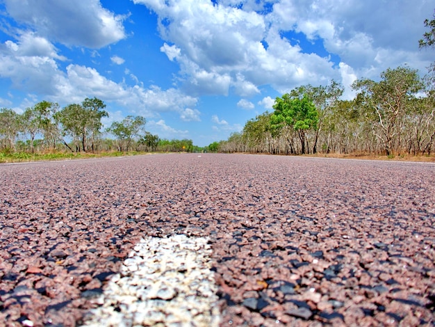 Foto nível da superfície da estrada em meio a árvores contra o céu