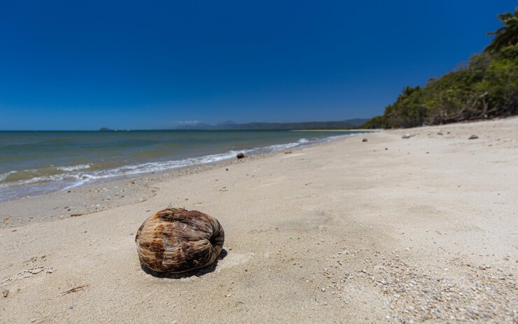 Foto nível de superfície de conchas na praia contra o céu