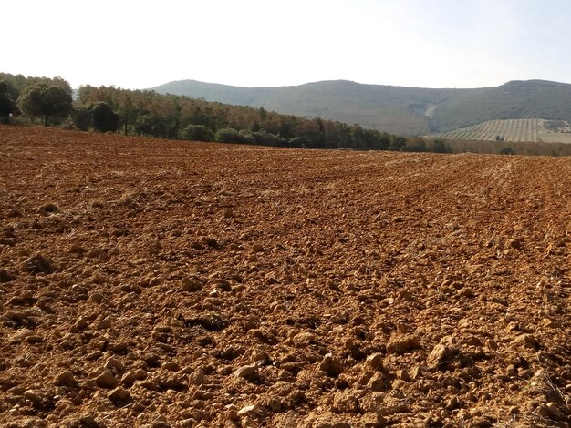 Foto nível de superfície de paisagem estéril contra céu limpo