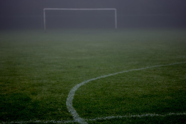 Nivel de superficie del campo de juego