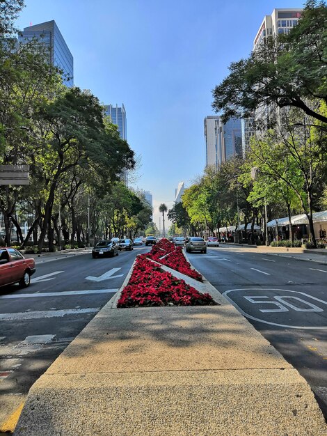 Foto nivel de la superficie de la carretera por calle de la ciudad contra el cielo