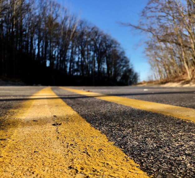 Nivel de la superficie de la carretera a lo largo de árboles desnudos