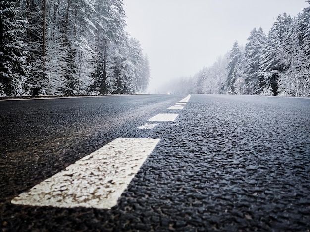 Foto nivel de la superficie de la carretera en medio de árboles durante el invierno