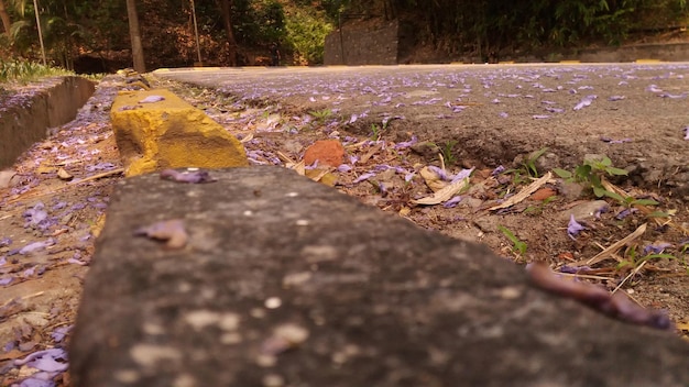 Foto nivel de la superficie de la carretera