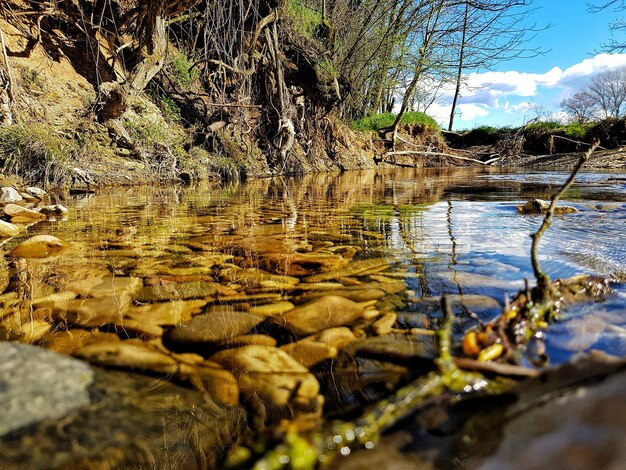 Foto nivel de superficie del lago