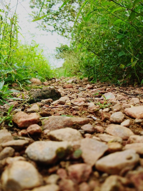 Foto nivel de superficie de las piedras en tierra