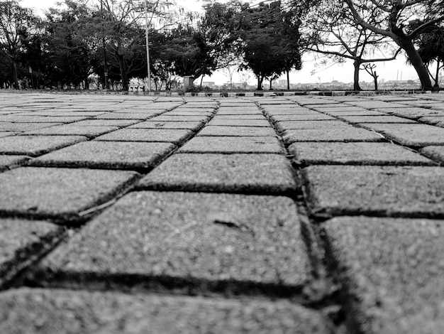 Foto nivel de superficie del sendero en el parque