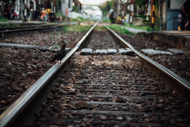 Foto nivel de superficie de la vía ferroviaria