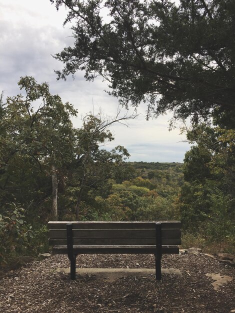 Foto no banco do parque contra o céu