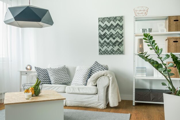 Foto no hay humanos cortinas de paisaje de plantas en el interior sofá macetas de plantas mesa almohada de ventana