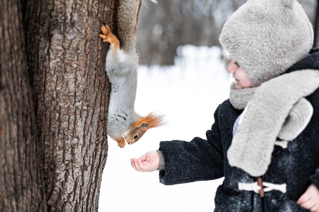 No inverno, uma criança alimenta um esquilo com uma noz. menino bonitinho alimentando o esquilo em winter park.