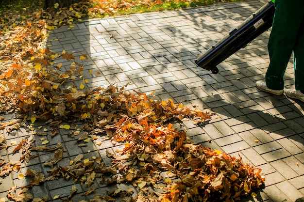 No outono, o trabalhador do parque remove a estrada das folhas caídas com a ajuda
