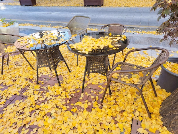 Foto no outono tiro de close-up de folhas de ginko amarelas caídas espalhadas no chão e mesa e cadeira