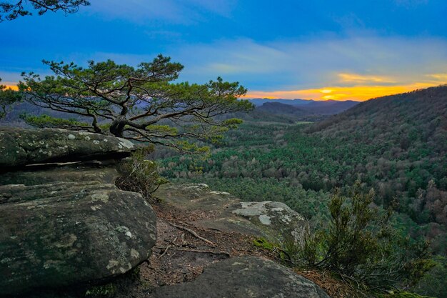 No topo de uma formação rochosa na floresta do Palatinado durante o pôr do sol