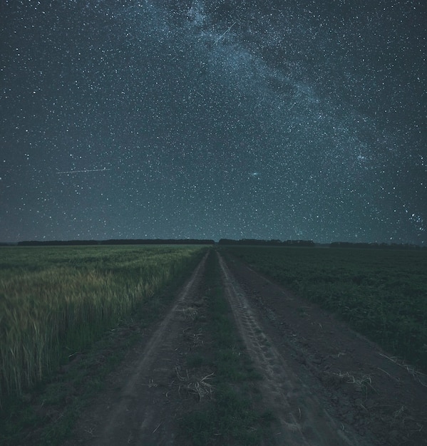 La noche estrellada en el campo