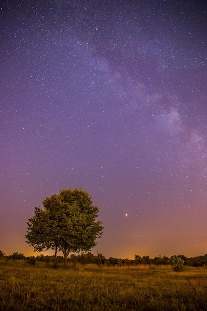 Noche y estrellas Paisaje Claro Vía Láctea en la noche campo y árbol solitarios