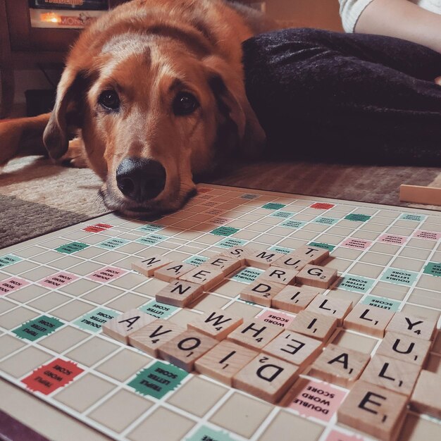 Foto noche de familia