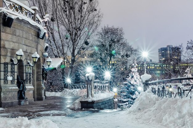 Noche de invierno en el parque bancos cubiertos de nieve luces brillantes iluminan la nieve blanca Nochevieja con nieve Kiev Ucrania